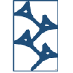 Candela Global, LLC