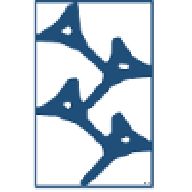 Candela Global, LLC